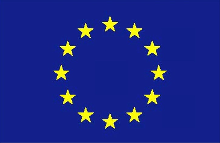 EU Logo